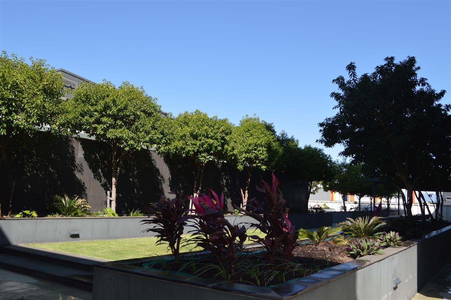 Central Islington Apartments Townsville Exterior photo